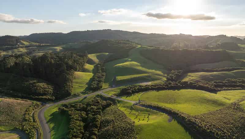  Palliser Downs Drive, Wainui