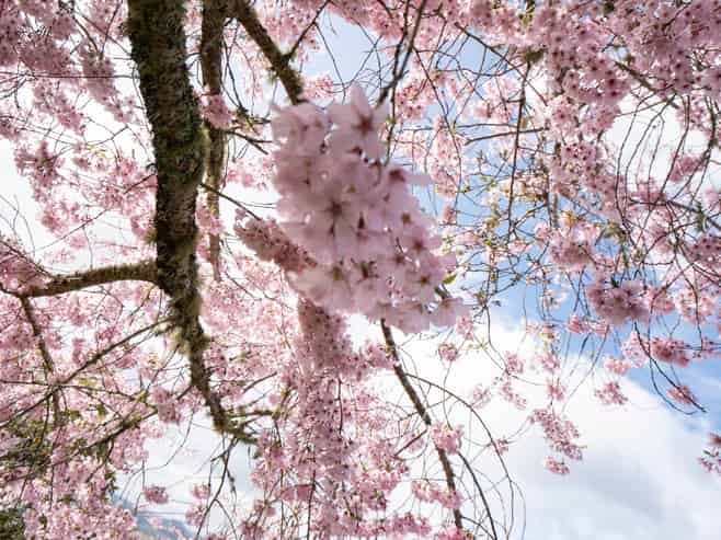 21 Brunette Drive, Acacia Bay