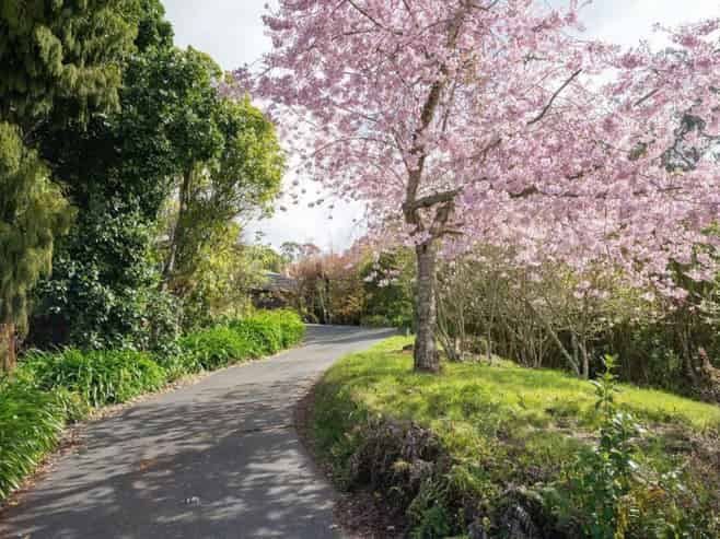 21 Brunette Drive, Acacia Bay