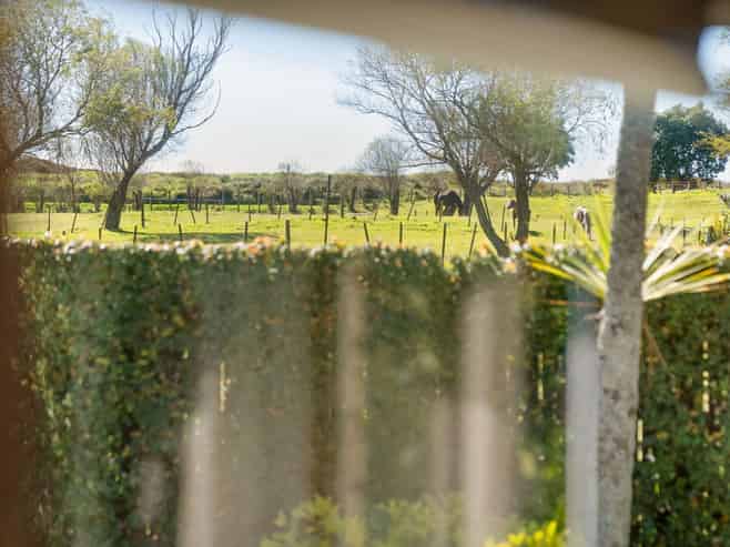 18A Haven Grove, Papamoa