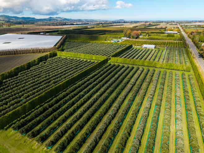 590 Matawai Road, Waerengaahika