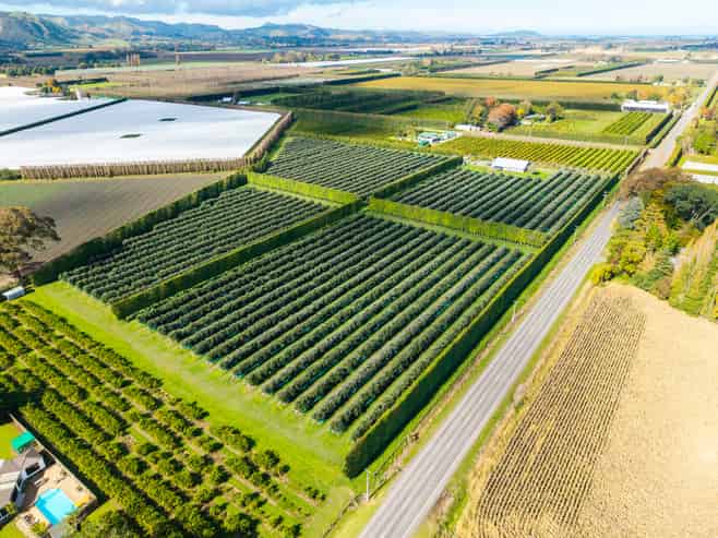 590 Matawai Road, Waerengaahika