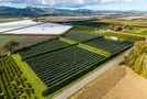 590 Matawai Road, Hexton, Gisborne, Gisborne