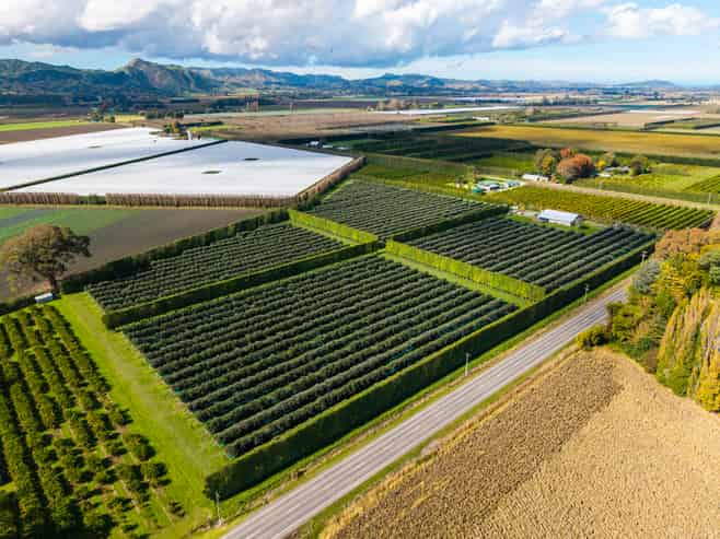 590 Matawai Road, Waerengaahika