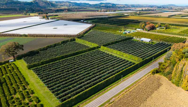 590 Matawai Road, Waerengaahika