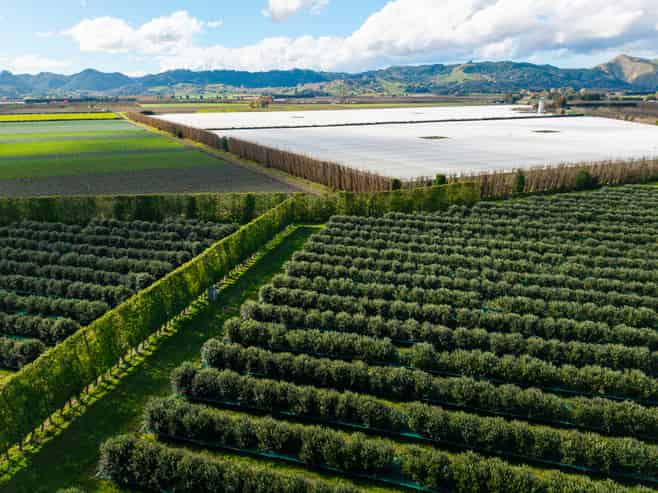 590 Matawai Road, Waerengaahika