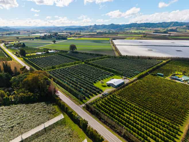 590 Matawai Road, Waerengaahika