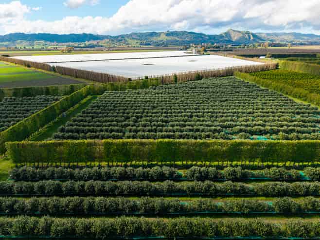 590 Matawai Road, Waerengaahika