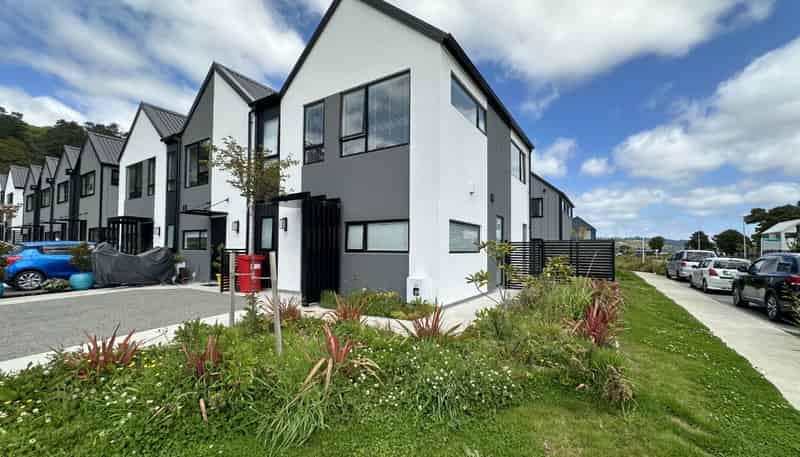 23 Doug Jensen Street, Wallaceville