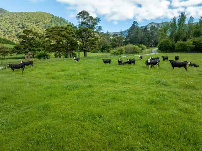 726 Tunakino Valley Road, Rai Valley