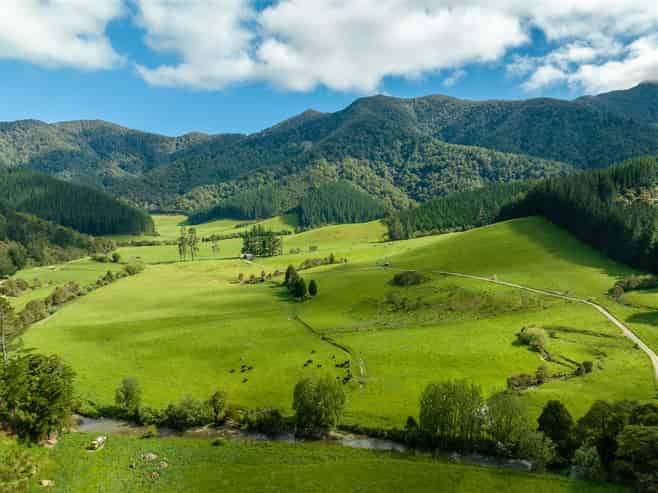 726 Tunakino Valley Road, Rai Valley