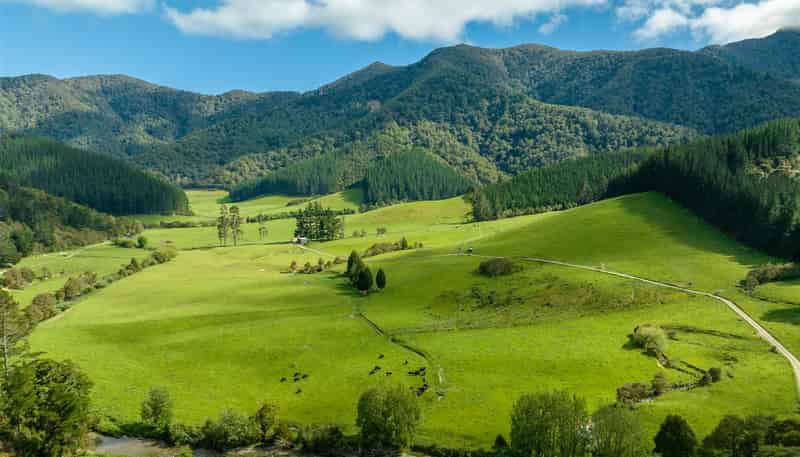 726 Tunakino Valley Road, Rai Valley