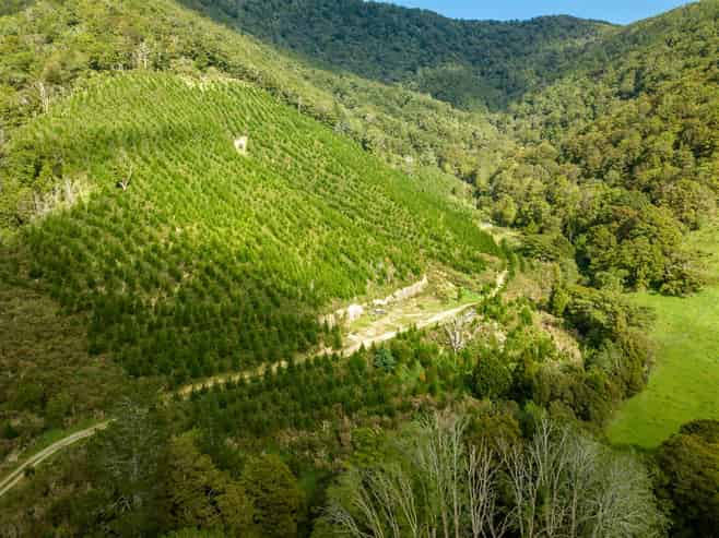 726 Tunakino Valley Road, Rai Valley