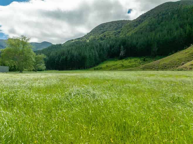 726 Tunakino Valley Road, Rai Valley