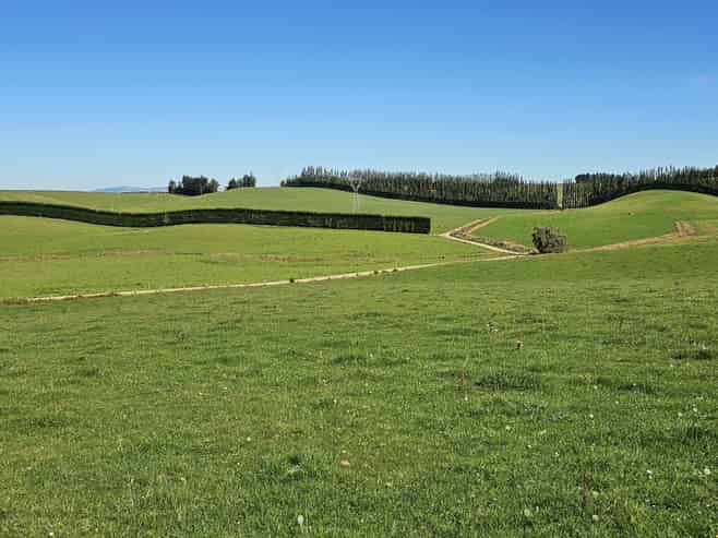 465 Adam Fleming Road, Crossans Corner