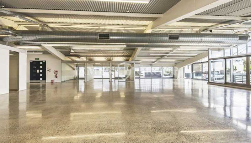 A/1 Farnham Street, Parnell