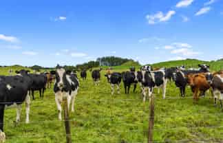 1161 State Highway 5, Hamurana