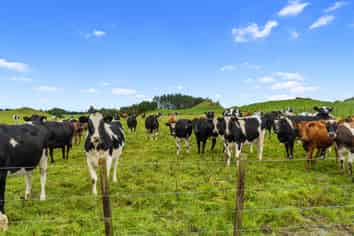 1161 State Highway 5, Hamurana