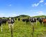 1161 State Highway 5, Hamurana, Rotorua, Bay of Plenty