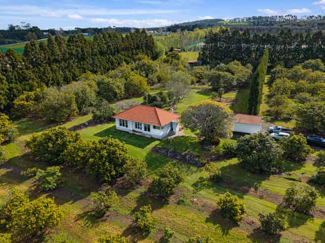 131 Tatton Road, Maungatapere