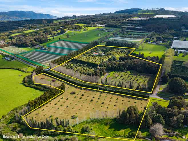 131 Tatton Road, Maungatapere