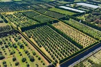 88 Stone Wall Rise, Maungatapere