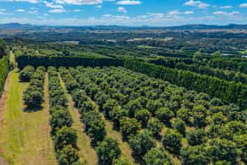 88 Stone Wall Rise, Maungatapere