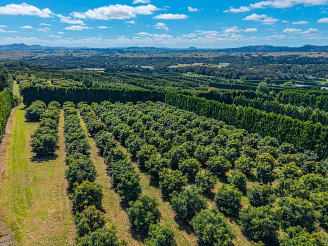 88 Stone Wall Rise, Maungatapere