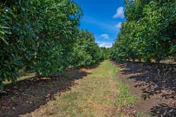 88 Stone Wall Rise, Maungatapere