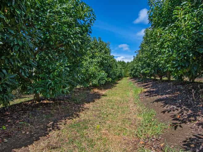 88 Stone Wall Rise, Maungatapere