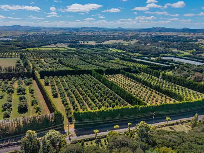 88 Stone Wall Rise, Maungatapere