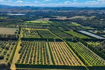 88 Stone Wall Rse, Maungatapere