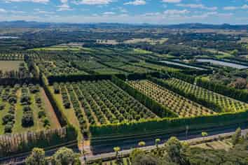 88 Stone Wall Rse, Maungatapere
