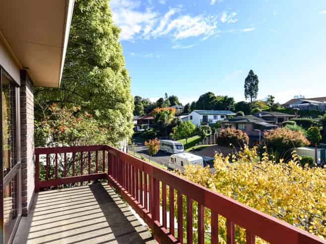 17 Carew Street, Nawton