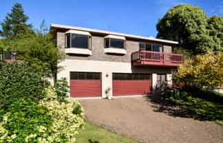 17 Carew Street, Nawton