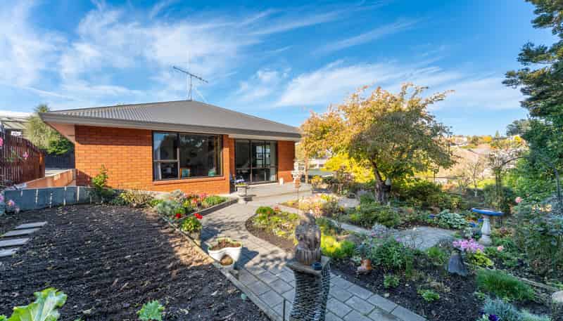 1/25B White Street, Waimataitai