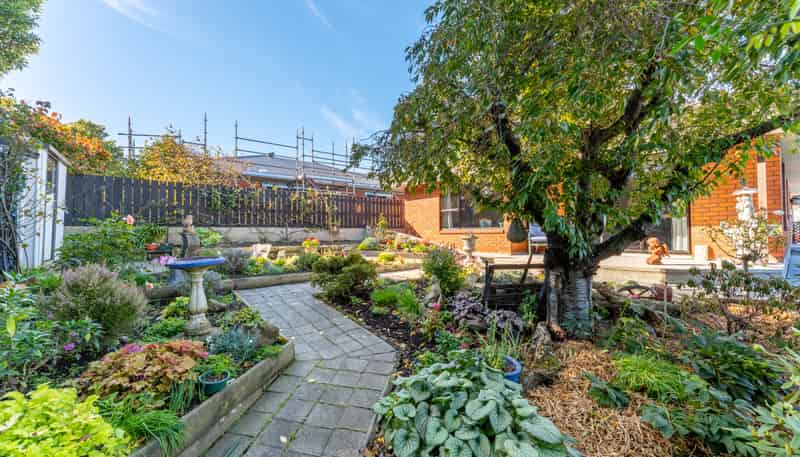 1/25B White Street, Waimataitai