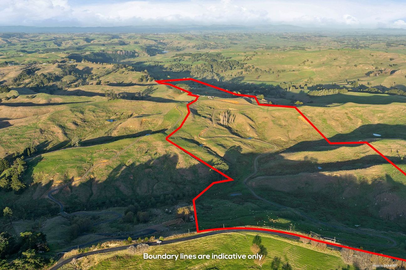 OFF GRID - GRAZING & EQUESTRIAN - 96.7 ACRES! - View 2