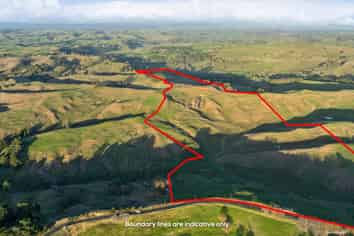 823 Wairamarama Onewhero Road, Onewhero