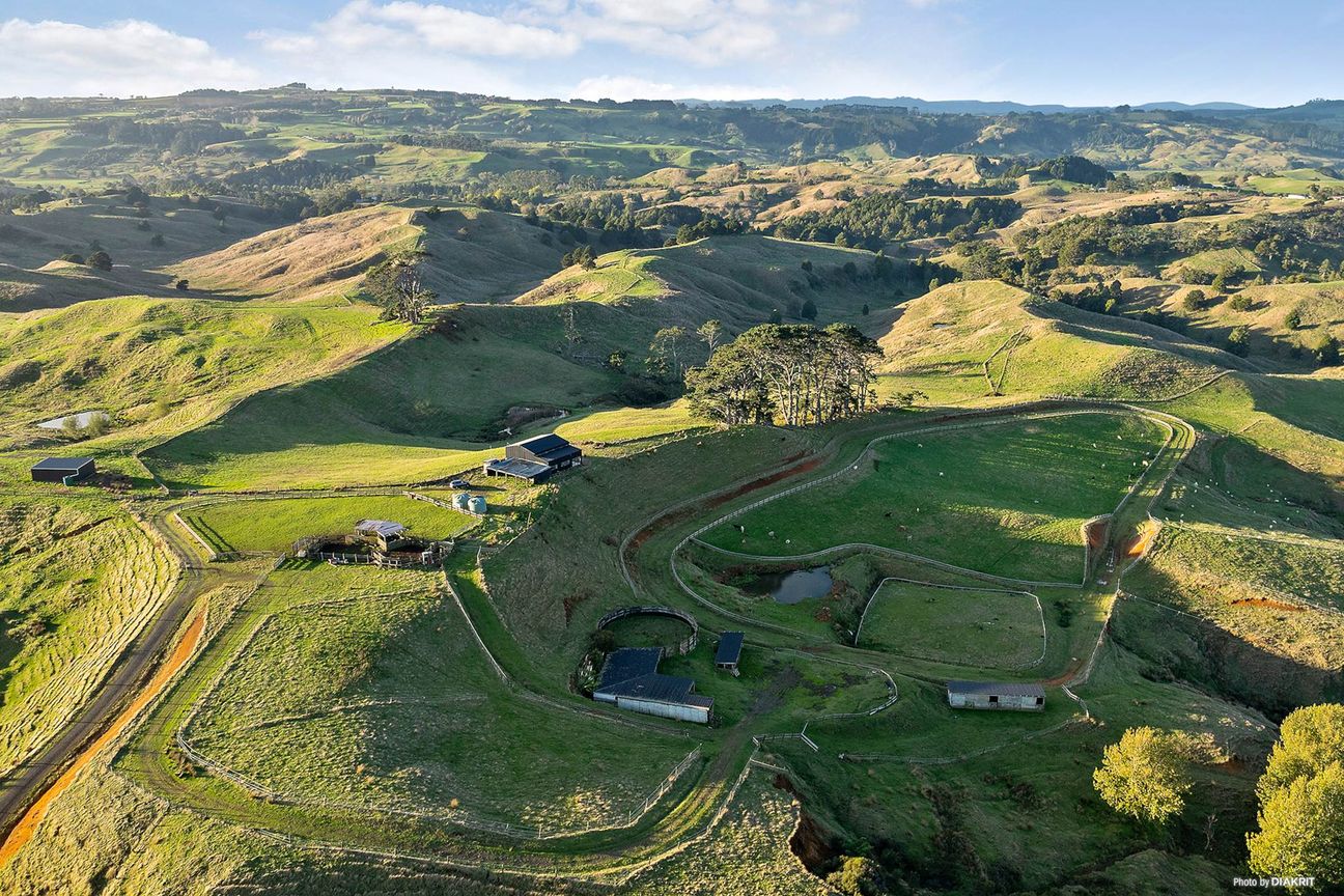 OFF GRID - GRAZING & EQUESTRIAN - 96.7 ACRES!