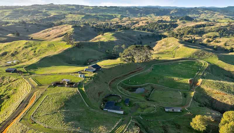 823 Wairamarama Onewhero Road, Onewhero