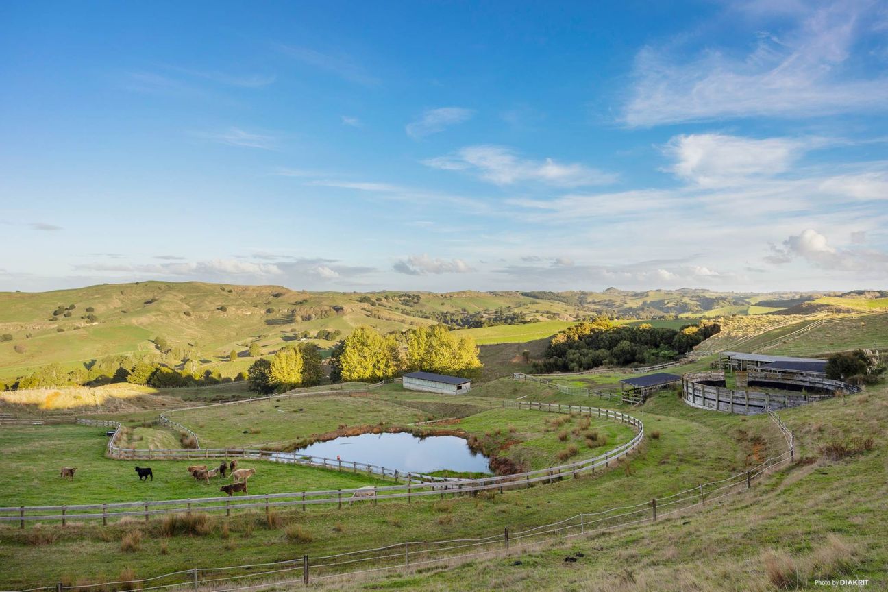 OFF GRID - GRAZING & EQUESTRIAN - 96.7 ACRES! - View 5