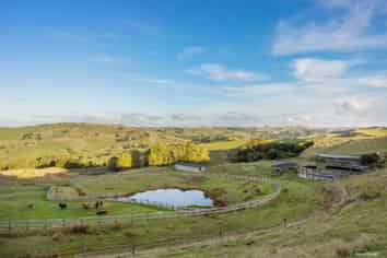 823 Wairamarama Onewhero Road, Onewhero