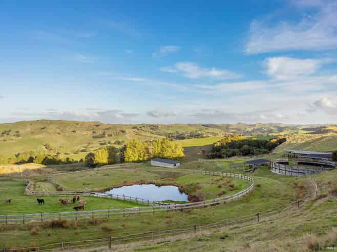 823 Wairamarama Onewhero Road, Onewhero