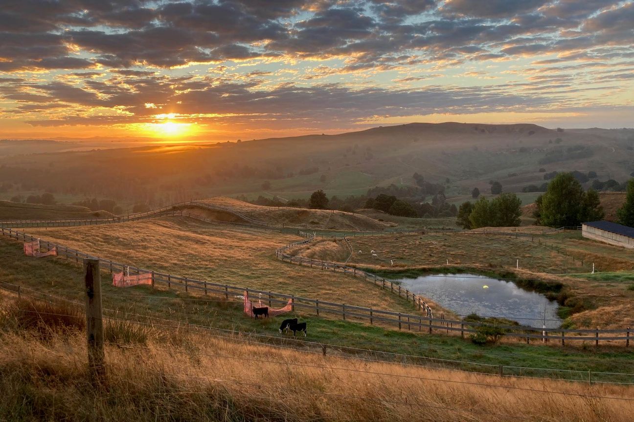 OFF GRID - GRAZING & EQUESTRIAN - 96.7 ACRES! - View 3