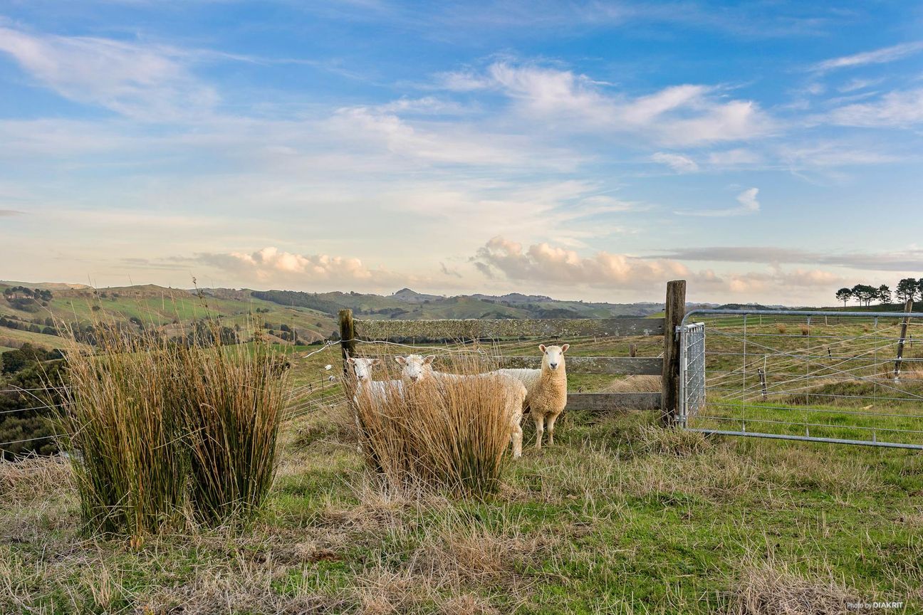 OFF GRID - GRAZING & EQUESTRIAN - 96.7 ACRES! - View 4