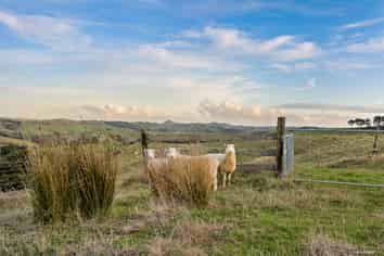823 Wairamarama Onewhero Road, Onewhero