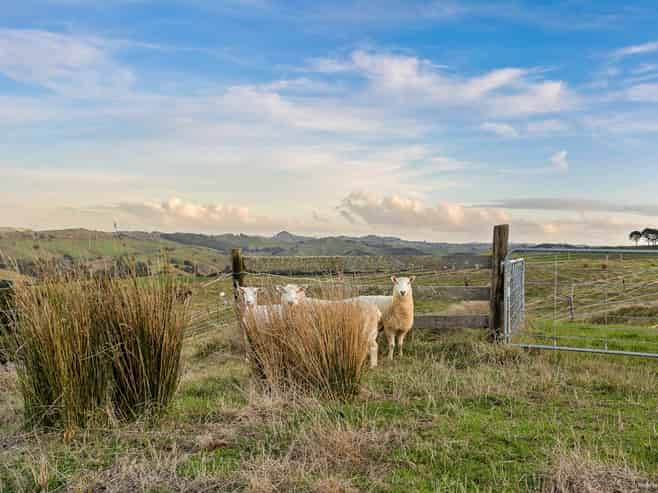 823 Wairamarama Onewhero Road, Onewhero
