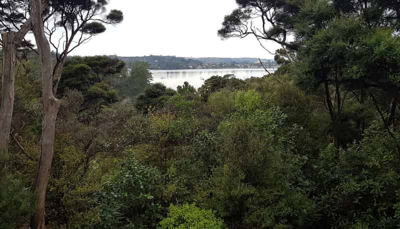 36A Merewhira Road, Paremoremo