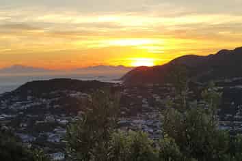 Wellington - Address withheld